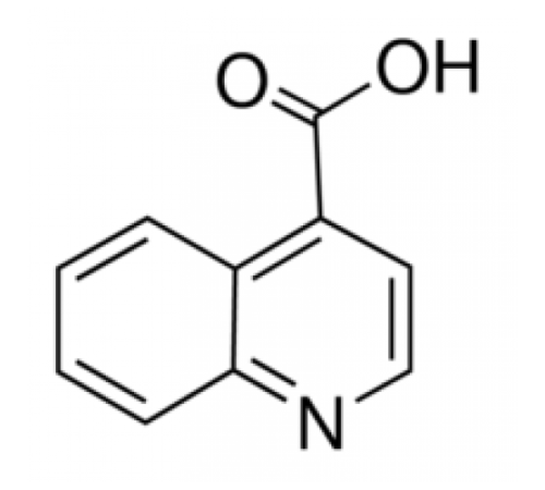 Хинолин-4-карбоновая кислота, 97%, Maybridge, 1г