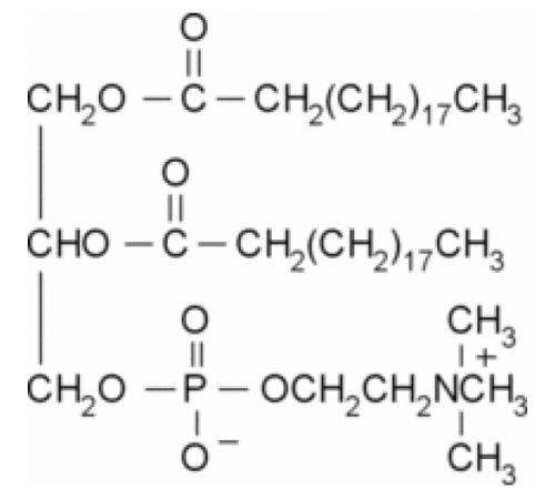 1,2-диарахидоил-sn-глицеро-3-фосфохолин 99% (ТСХ) Sigma P9898