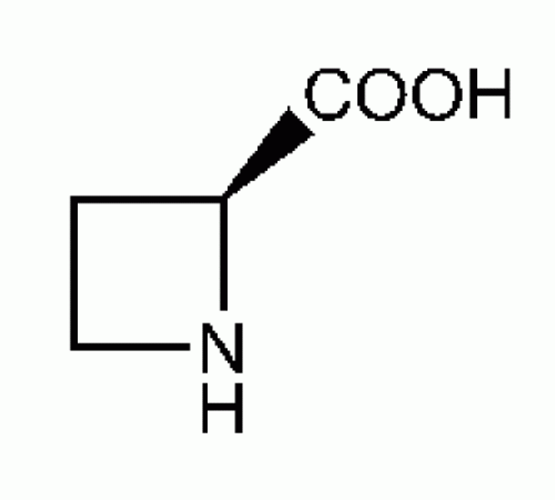 (S)-(-)-2-азетидинкарбоновая кислота, 99+%, Acros Organics, 1г