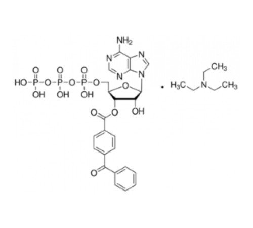 2 '(3'β O- (4-Бензоилбензоил) аденозин 5'-трифосфат триэтиламмониевая соль 93% Sigma B6396